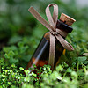 OilPeppermintHelenaLu
