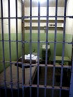What does the felony-murder rule mean? featured image